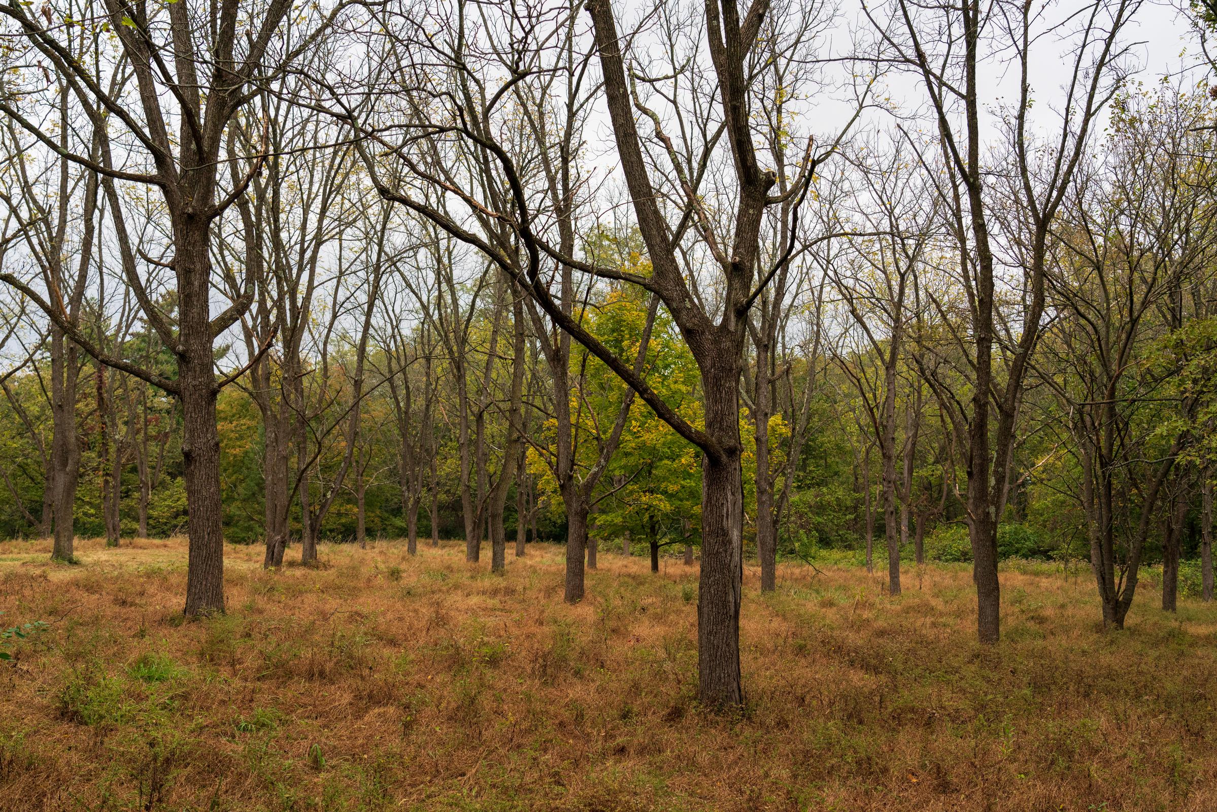 Werk Road Property Opens to Pedestrians on April 1